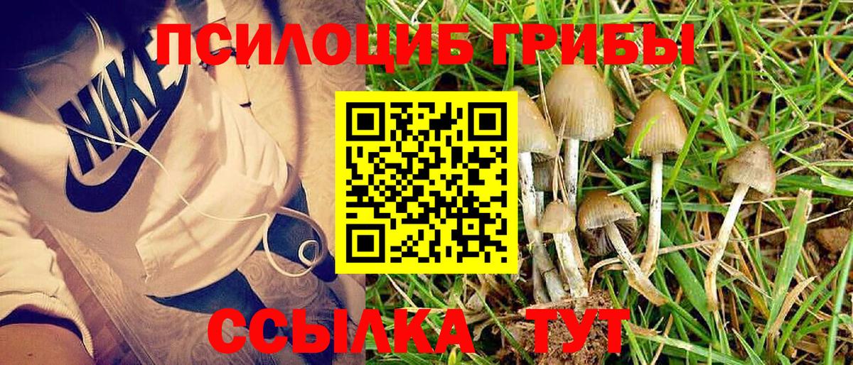 Псилоцибиновые грибы Magic Shrooms Кропоткин