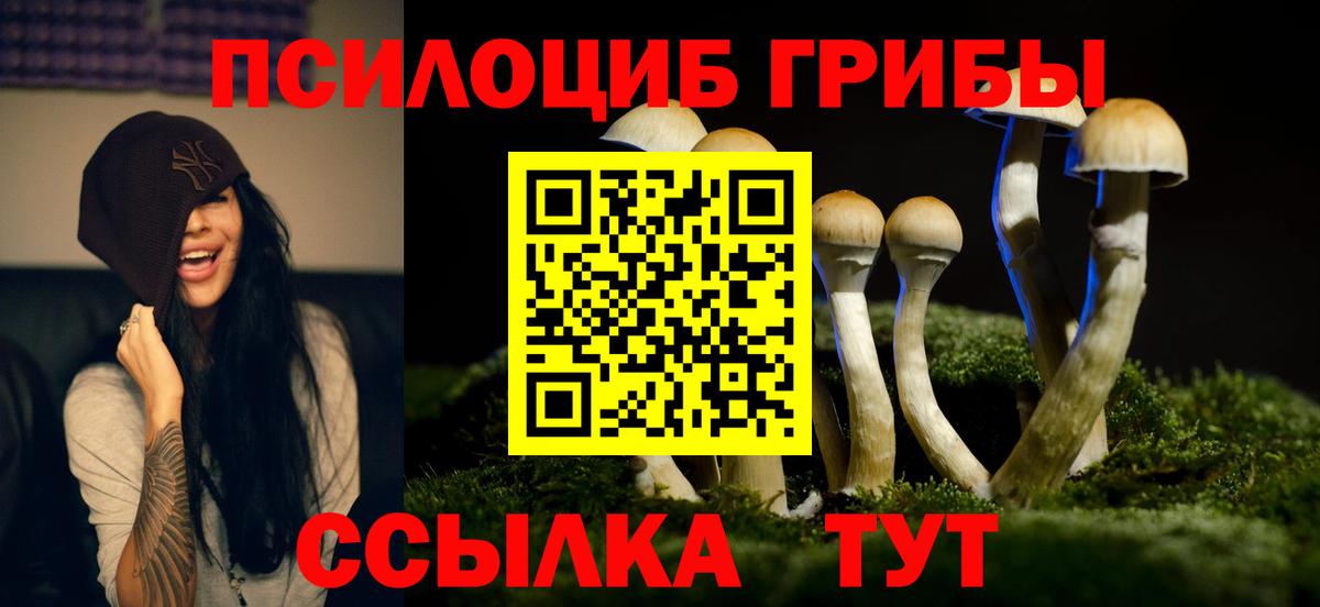 Псилоцибиновые грибы MAGIC MUSHROOMS  Вход с VPN  Кропоткин 