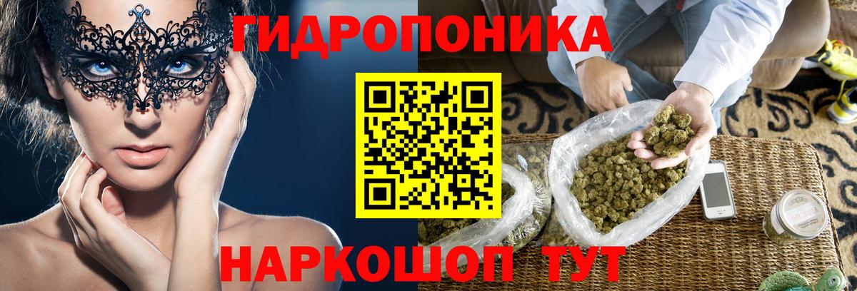 Конопля планчик  Конопля тримм  Кропоткин  Вход с VPN  Марихуана планчик 